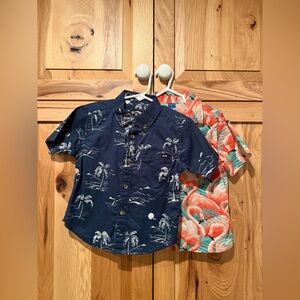 Hawaiian shirts